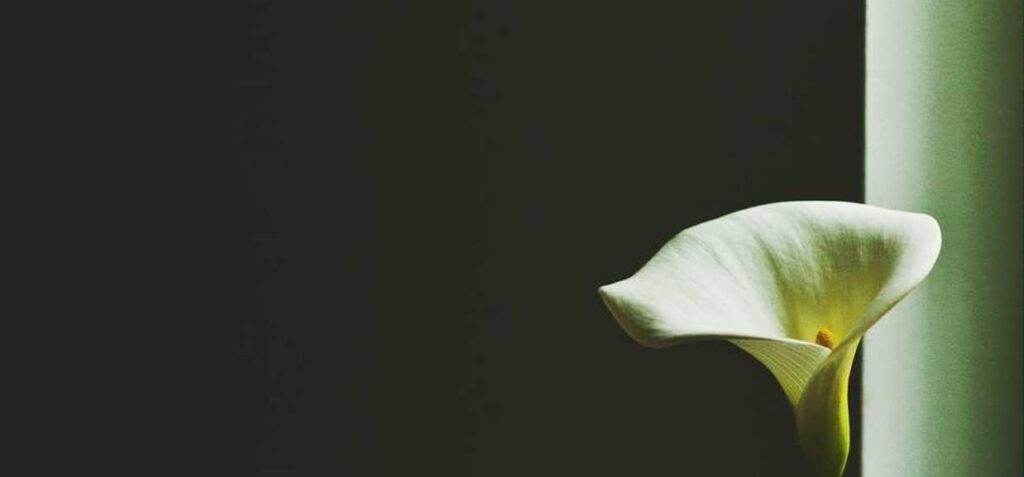 Reforma Tributária: prepare-se para 2026!