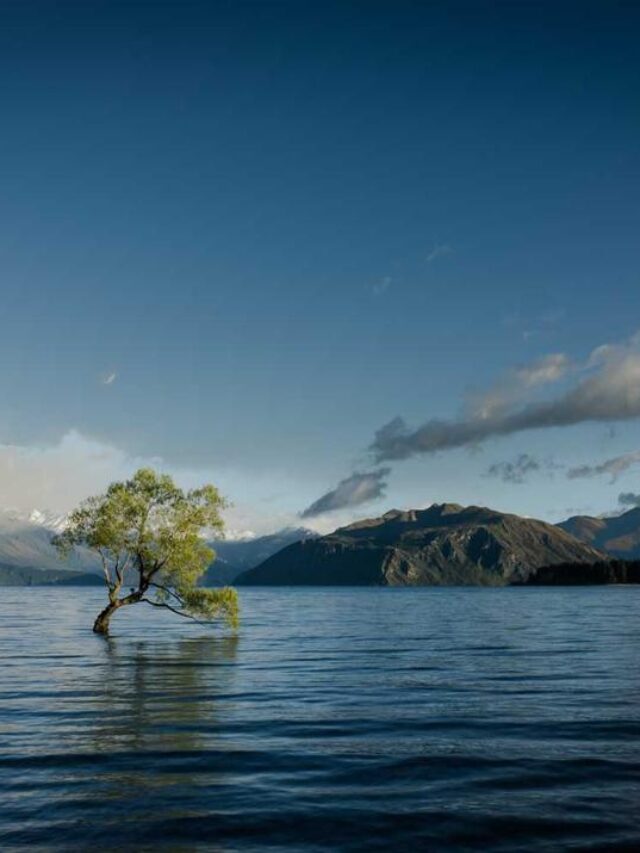 Sed ac mi ac eros pharetra pretium