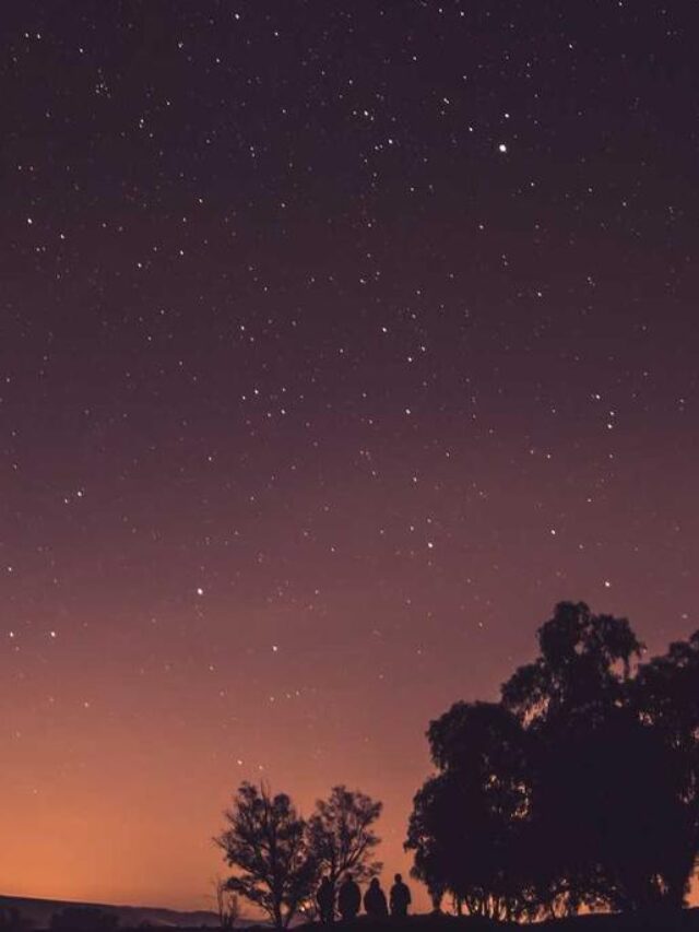 Webstories são formatos visuais e interativos para contar histórias na web