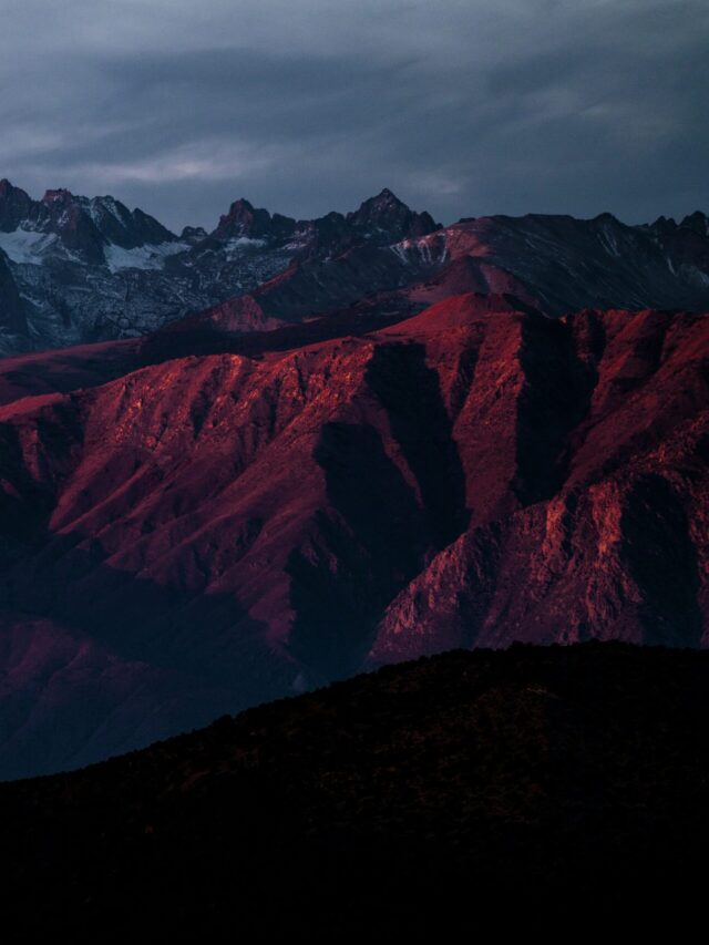 Quisque elementum nibh venenatis purus auctor tincidunt