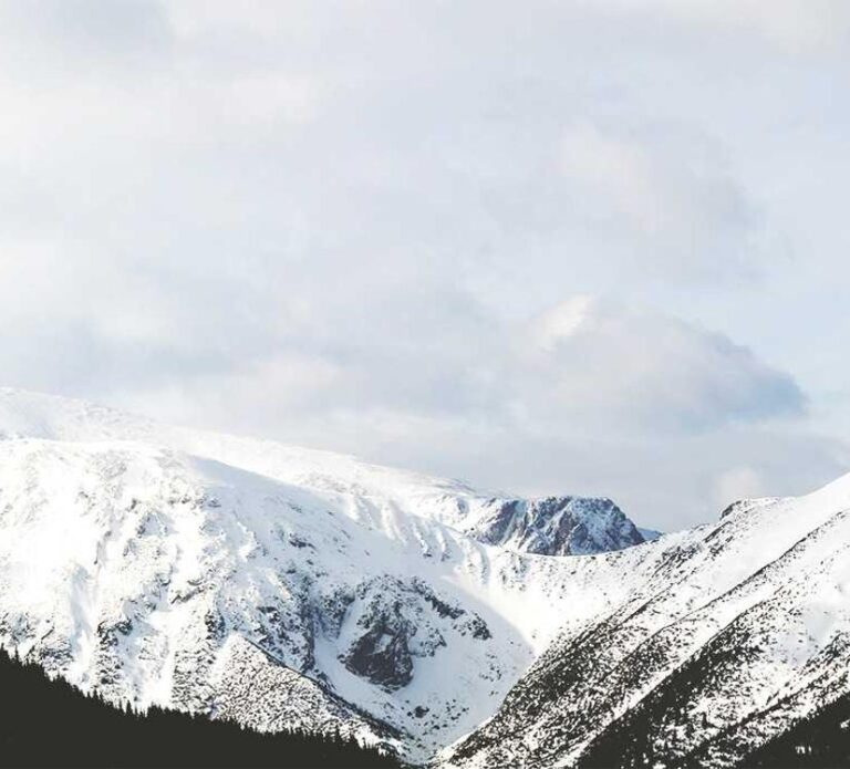 Voluptatum quasi natus ex quia suscipit saepe