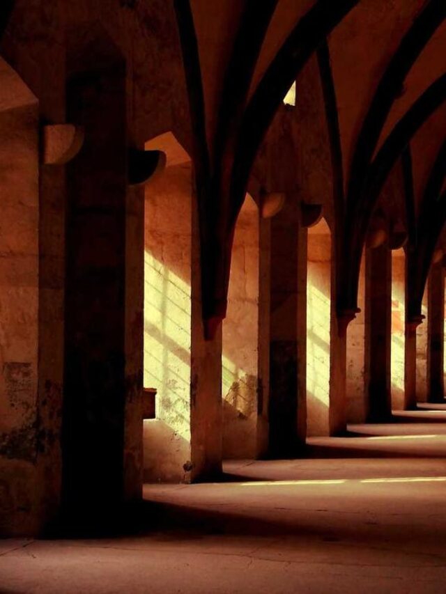 Webstories no WordPress permitem criar conteúdos visuais e interativos com o plugin oficial do Google, otimizados para mobile, SEO e monetização, ampliando alcance e engajamento.