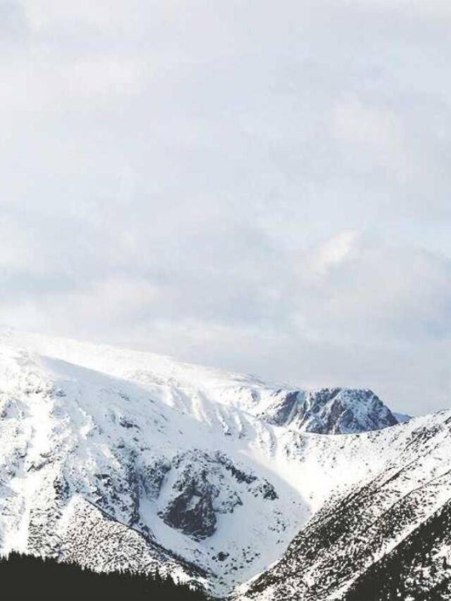 Massa gerada para teste