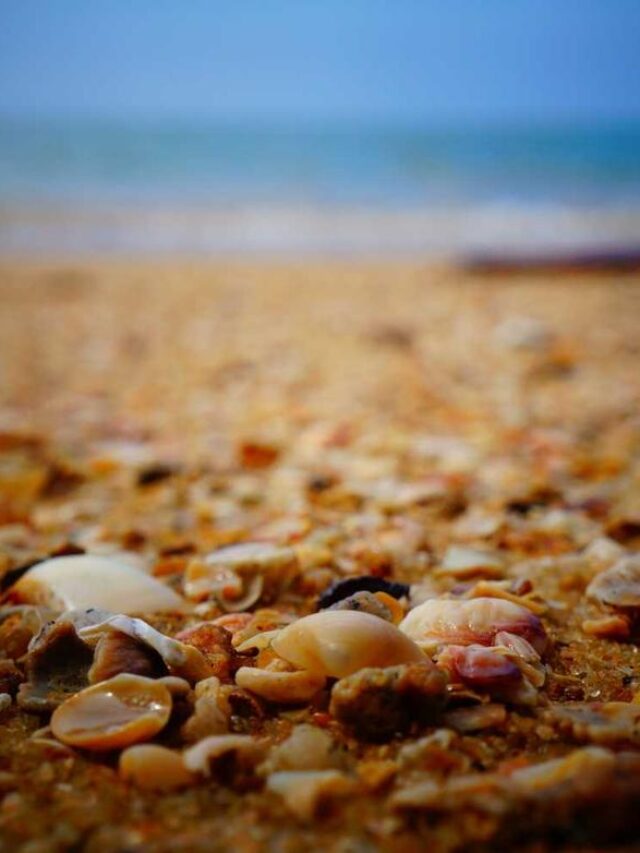 Webstories no WordPress permitem criar narrativas visuais imersivas usando o plugin oficial do Google.